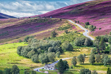 picturesque road in cairngorms national park