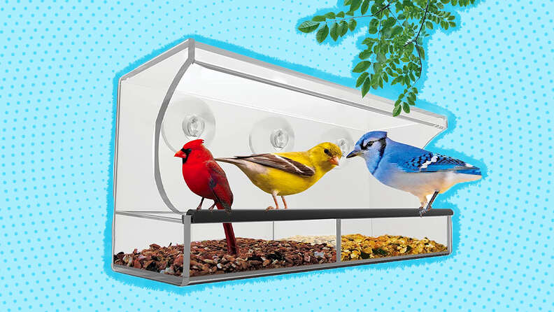 Weatherproof Polycarbonat Window Bird Feeder with Strong Suction