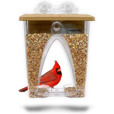 PETFUSION Tranquility Window Bird Feeder 