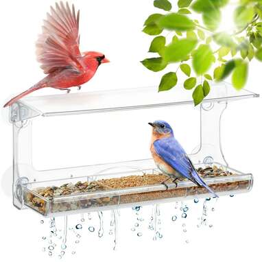 Window Bird Feeder: The Best Options You Can Buy For Indoor ...