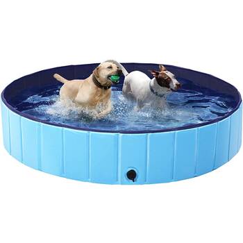 Best 2024 dog pool