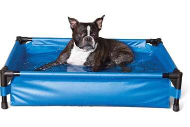 Best rectangular dog pool: K&H Pet Products Dog Pool & Bath