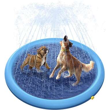 Best splash pad for dogs: Peteast Splash Sprinkler Pad for Dogs