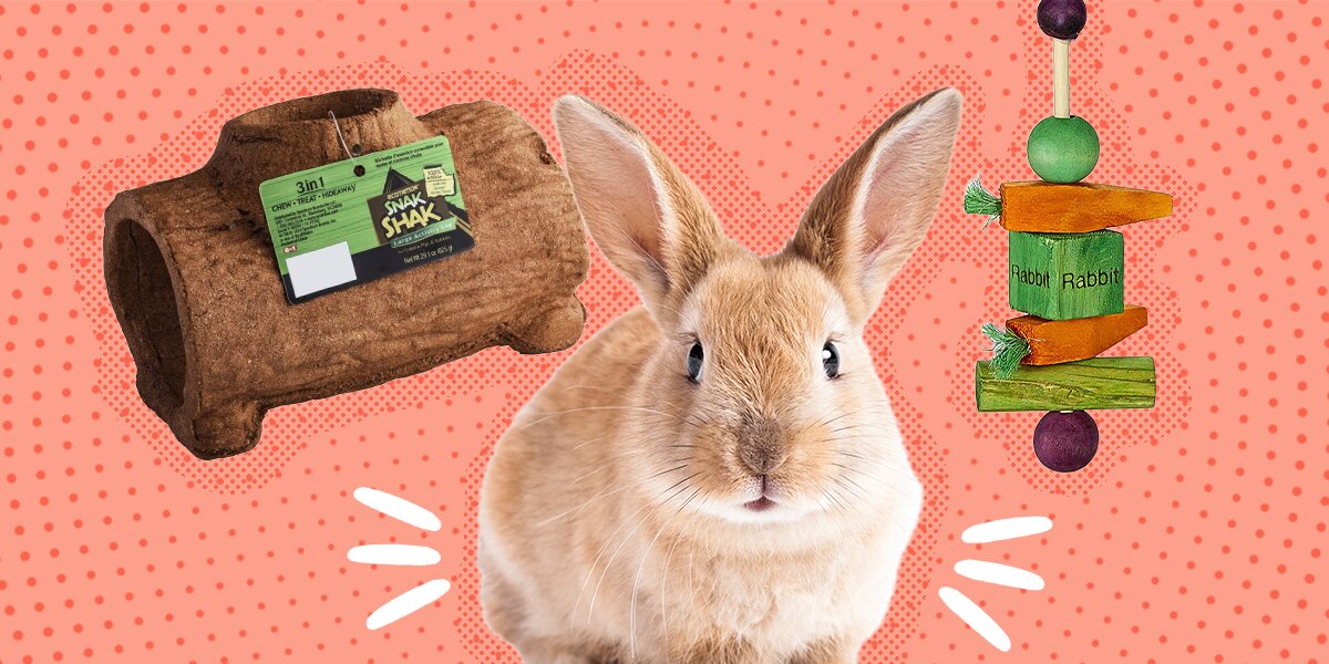 Best top rabbit toys