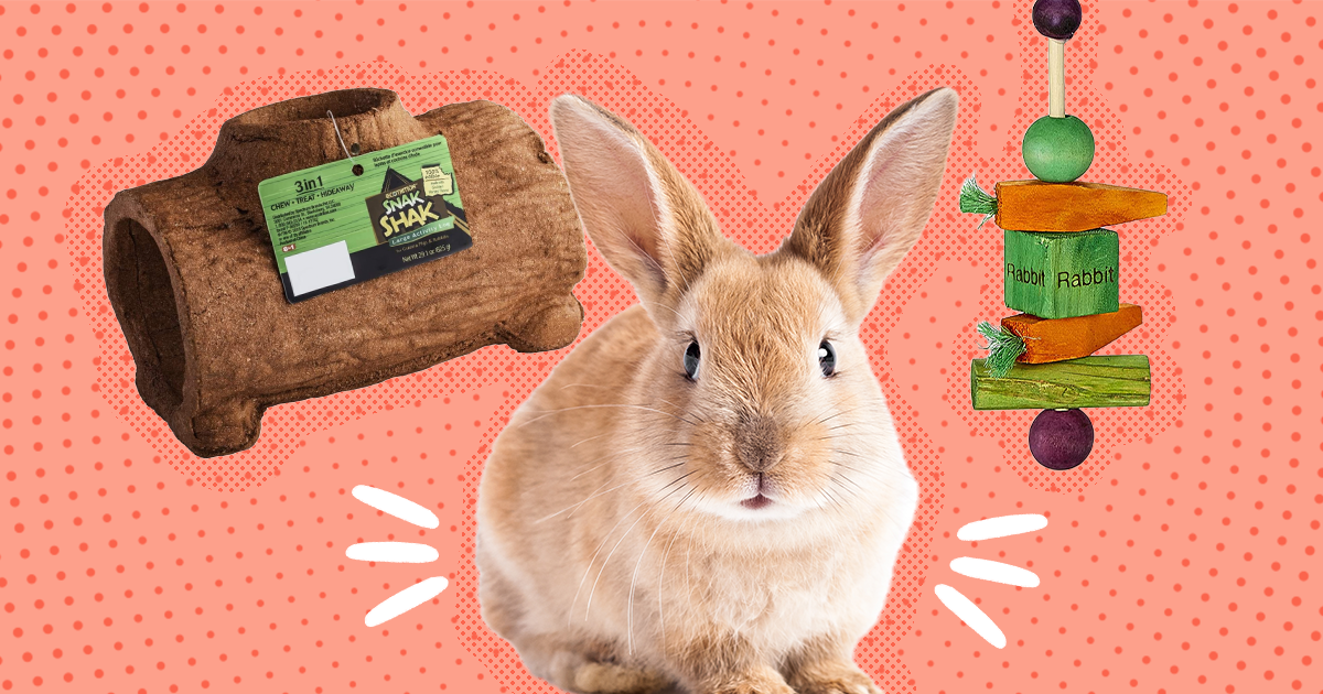 Best chew toys for clearance bunnies