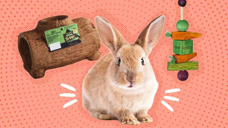 Best wood for rabbits to chew best sale