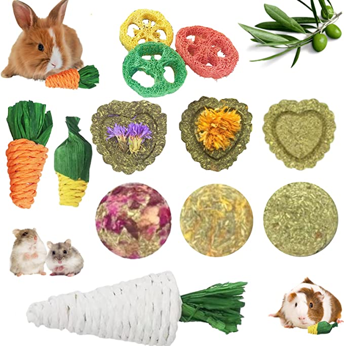 Rabbit Toys: The 8 Best Options For Chewing, Foraging And Hopping