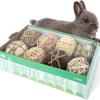 Best ball rabbit toy: Andwe Small Animals Play & Activity Balls