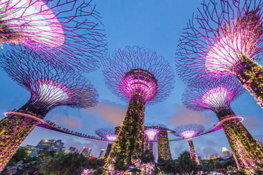 Supertree Grove in Singapore
