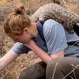 pangolin on a persons back