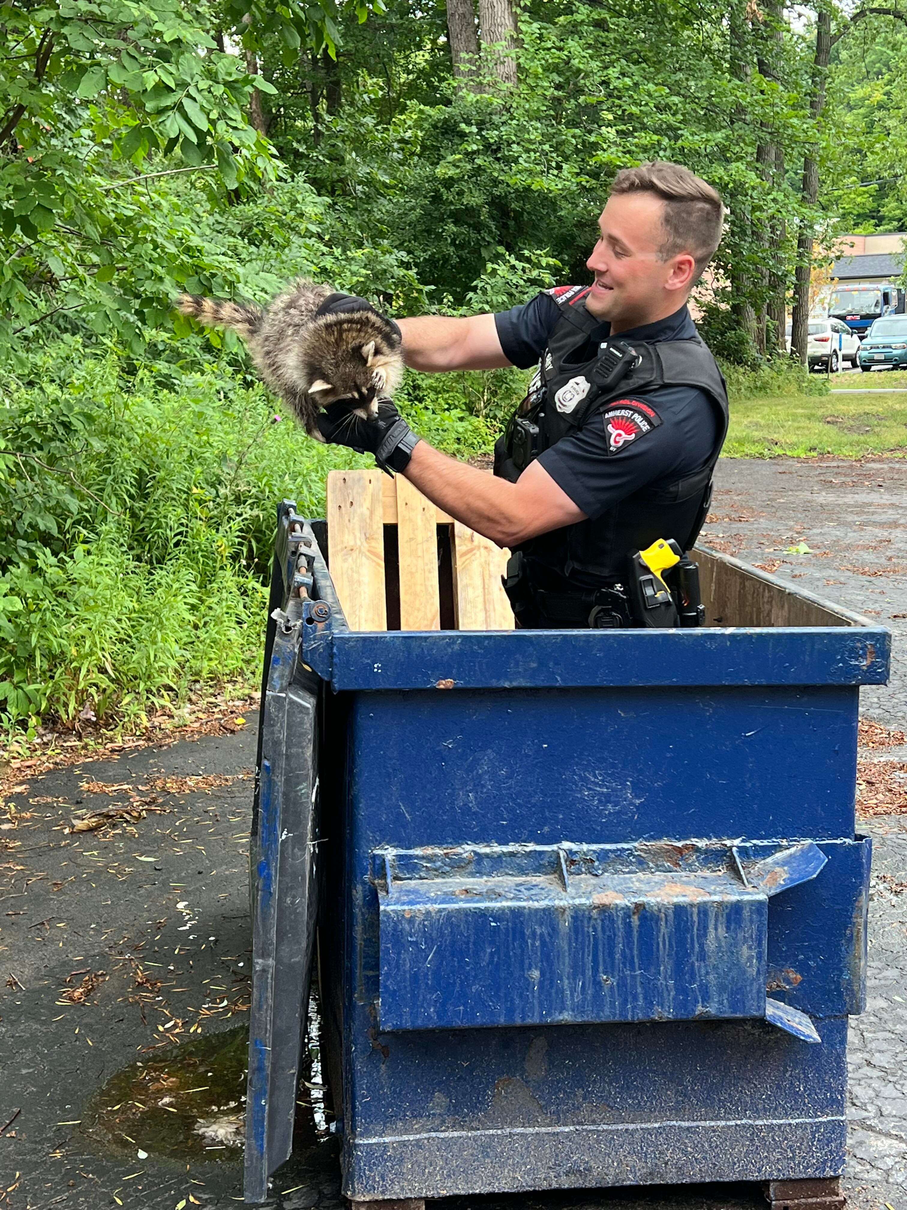 Raccoon Dumpster Fire Video 60