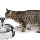 Best overall cat water fountain: Petsafe Drinkwell 360 stainless steel fountain