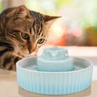 Best ceramic cat water fountain: Wonder Creature Cupcake Cat Water Fountain Porcelain
