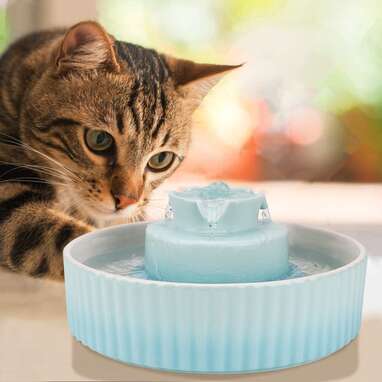 Best ceramic cat fountain sale