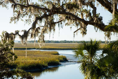 Cumberland Island