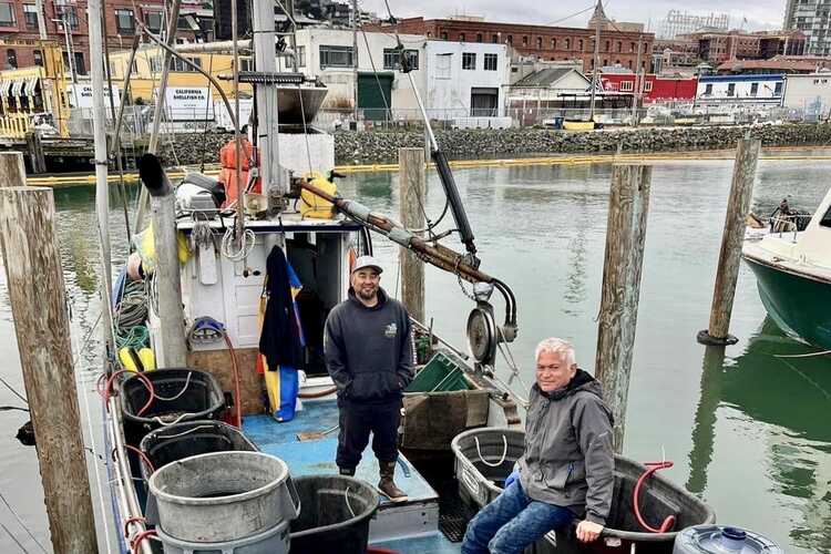 Off-Boat Fish and Crab Sales on the Docks