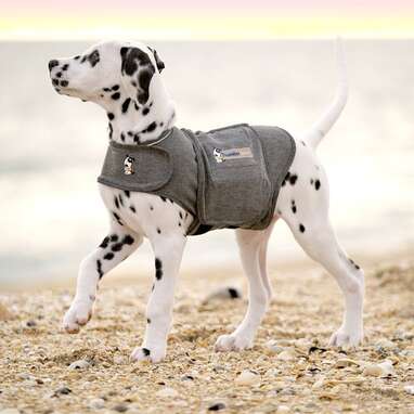 Best Anxiety Jacket: ThunderShirt Classic Dog Anxiety Jacket