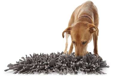 Best Calming Mat: Paw 5 Wooly Snuffle Mat