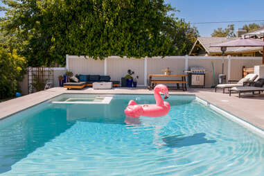 pool with flamingo pool toy