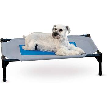 Cooling Pet Bed 9 Options That Will Keep Your Dog Or Cat