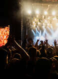 crowd cheering at a concert