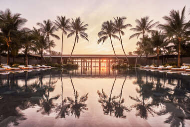 swimming pool lined with lounge chairs and palm trees