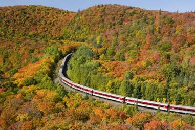 train going through forest