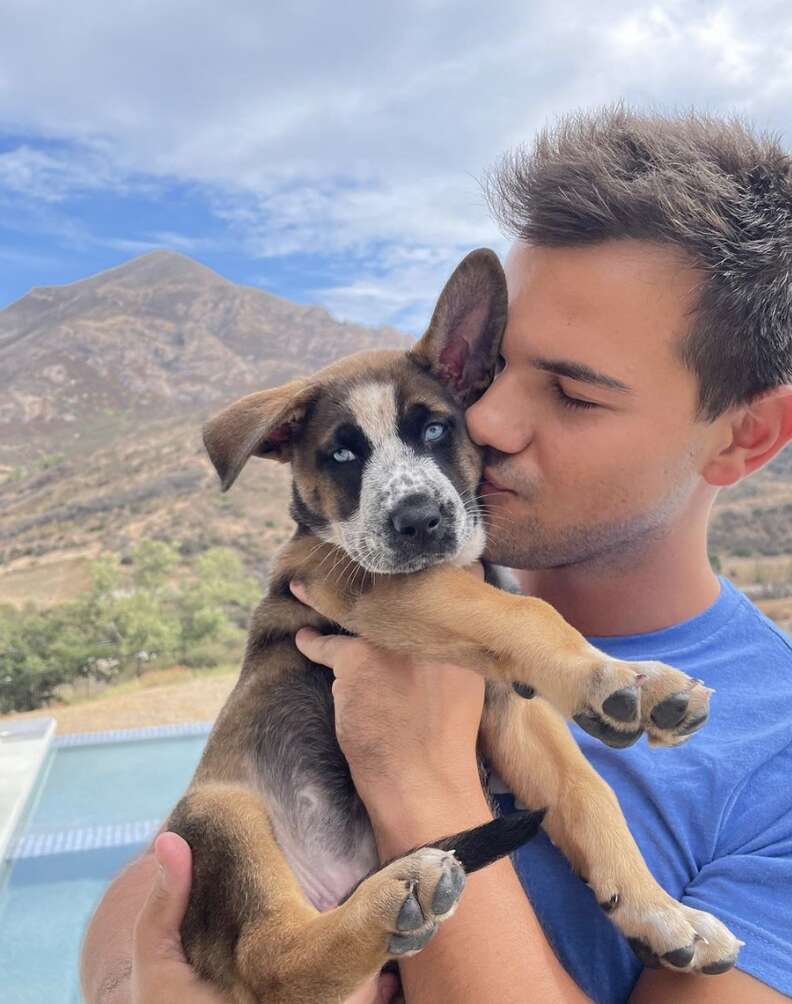 Taylor Lautner kisses his new puppy.