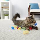 FRISCO Springs Cat Toy