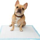 FRISCO Dog Training & Potty Pads