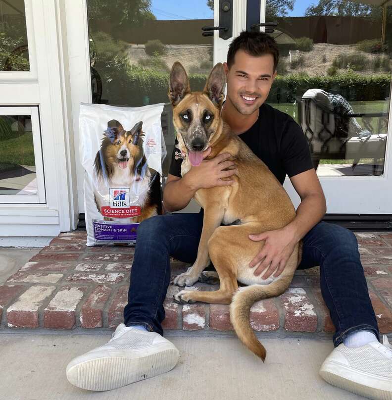 Taylor Lautner sits with his rescue dog, Remi.