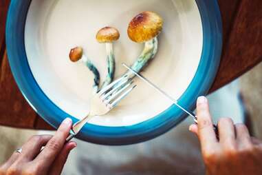 mushrooms with blue stocks