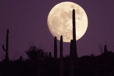 Maricopa County Parks and Recreation Department