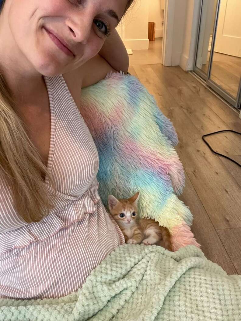 tiny kitten