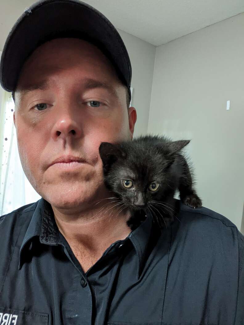 Police Officer Brings His Rescued Kitten To Work Every Day - The Dodo