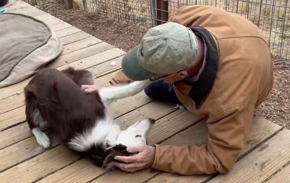 A man reunites with the dog he rescued.