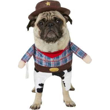 Funny Dog Costumes: 8 Picks Sure To Slay This Halloween - DodoWell - The  Dodo