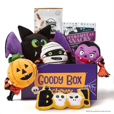 When one toy isn’t enough: GOODY BOX Halloween Dog Toys & Treats