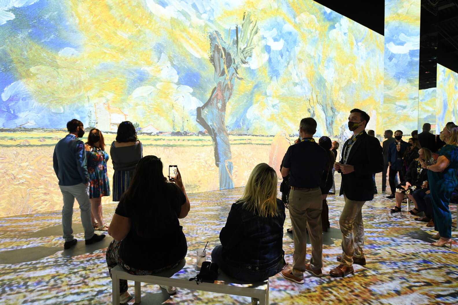 Photo by Denise Truscell, courtesy of Immersive Van Gogh