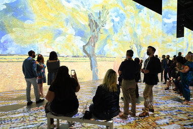 Immersive Van Gogh