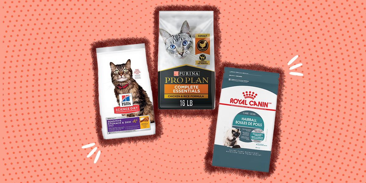 7 Best Dry Cat Food Options, According To A Vet – DodoWell