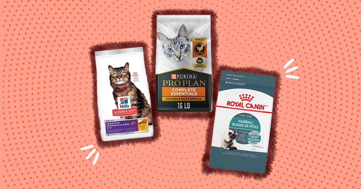 7 Best Dry Cat Food Options According To A Vet DodoWell The Dodo