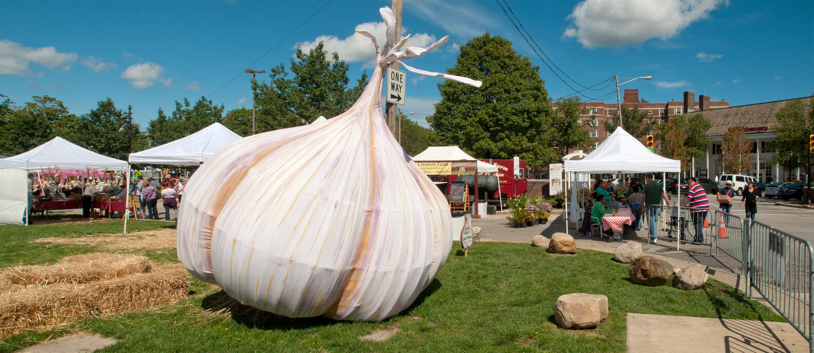 Best Garlic Festivals in the US Thrillist