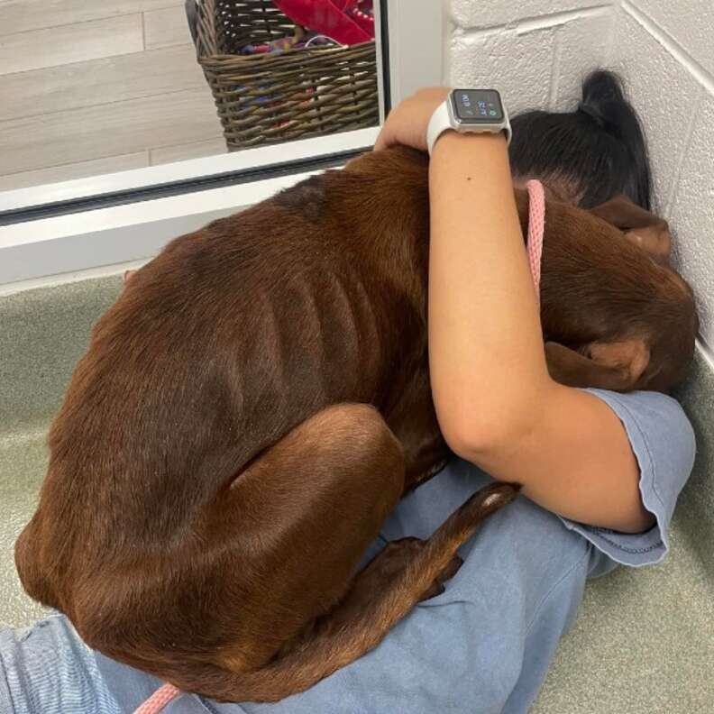 dog hugging girl