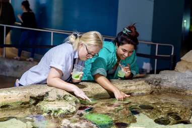 OdySea Aquarium