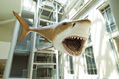 Smithsonian National Museum of Natural History