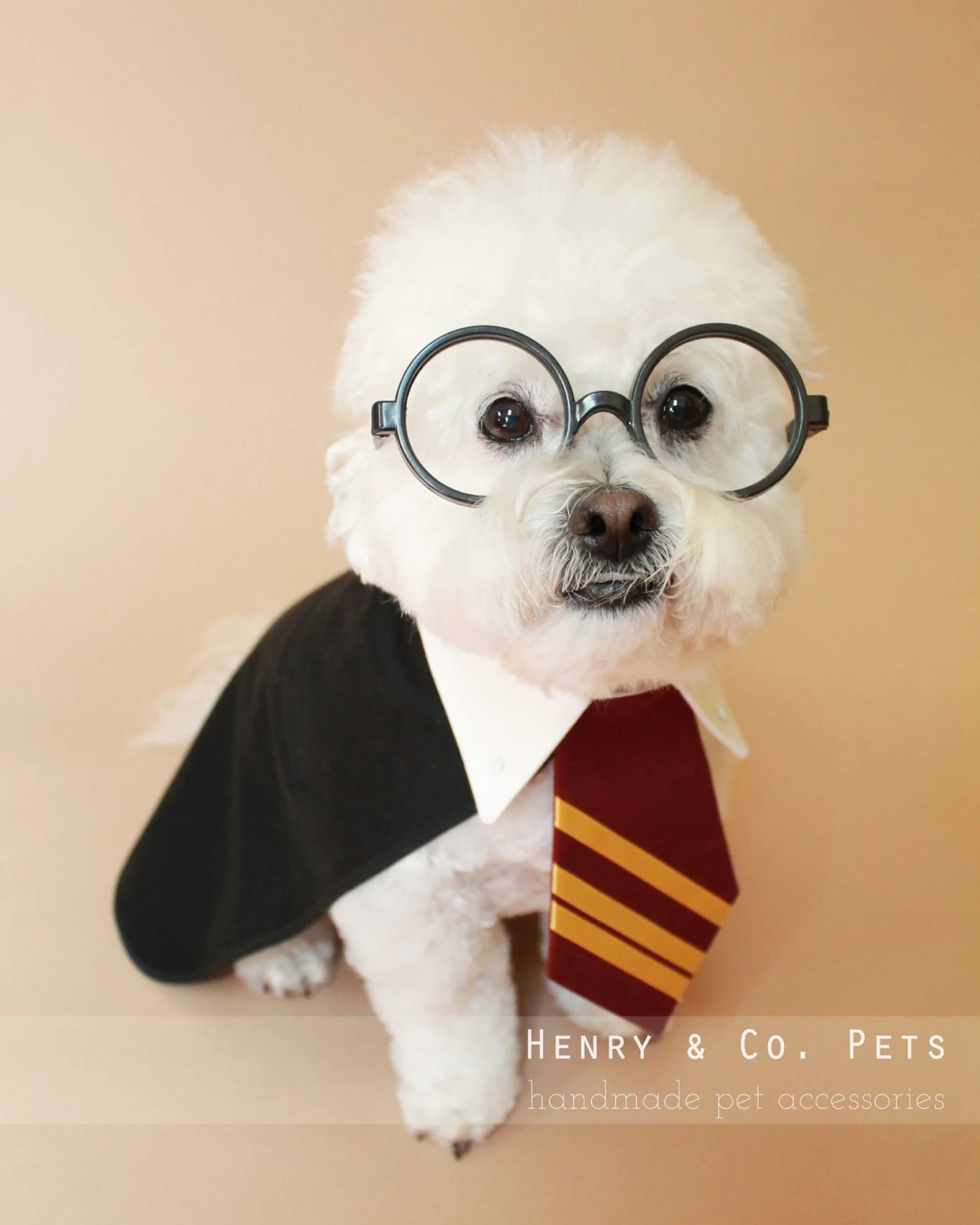 Harry potter dog clearance accessories