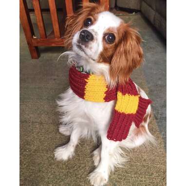 Harry potter hotsell dog scarf