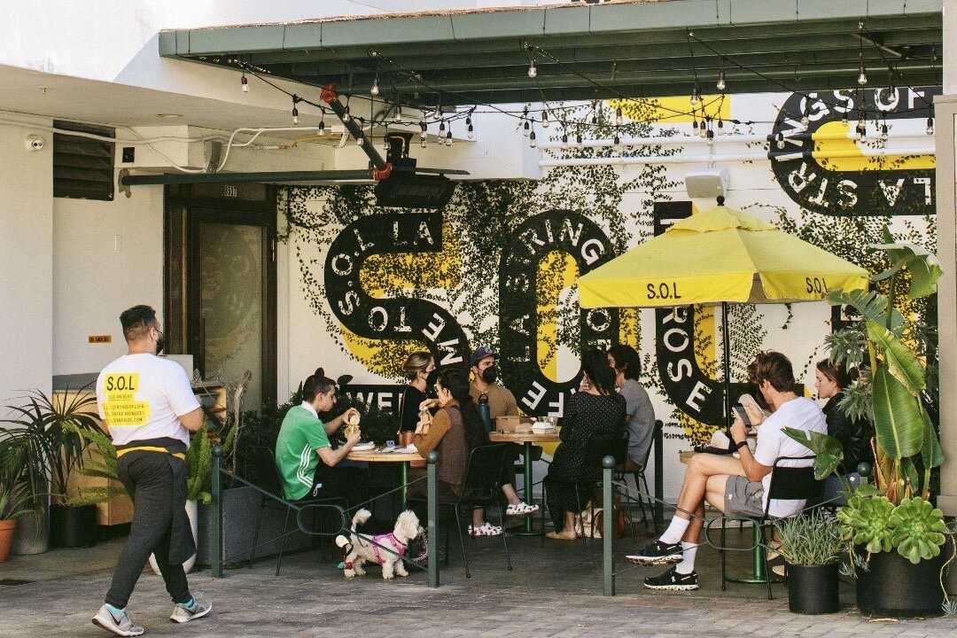 Strings Of Life (S.O.L.)