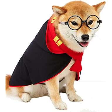 9 Harry Potter Dog Costume Options For Your Little Wizard